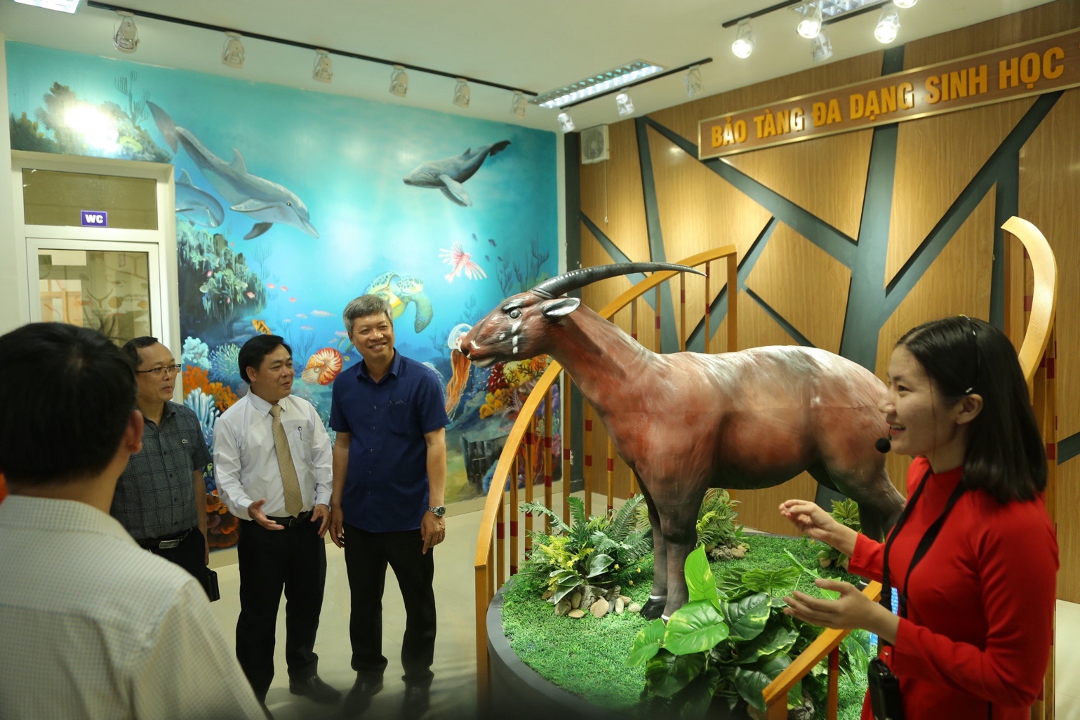 Thăm bảo tàng đa dạng sinh học cấp tỉnh đầu tiên trên cả nước tại Quảng Nam - 2