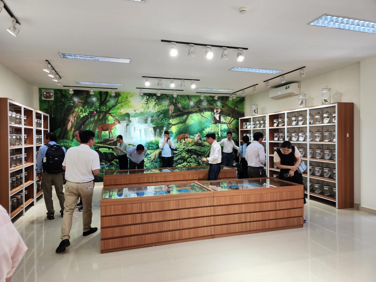 Thăm bảo tàng đa dạng sinh học cấp tỉnh đầu tiên trên cả nước tại Quảng Nam - 5
