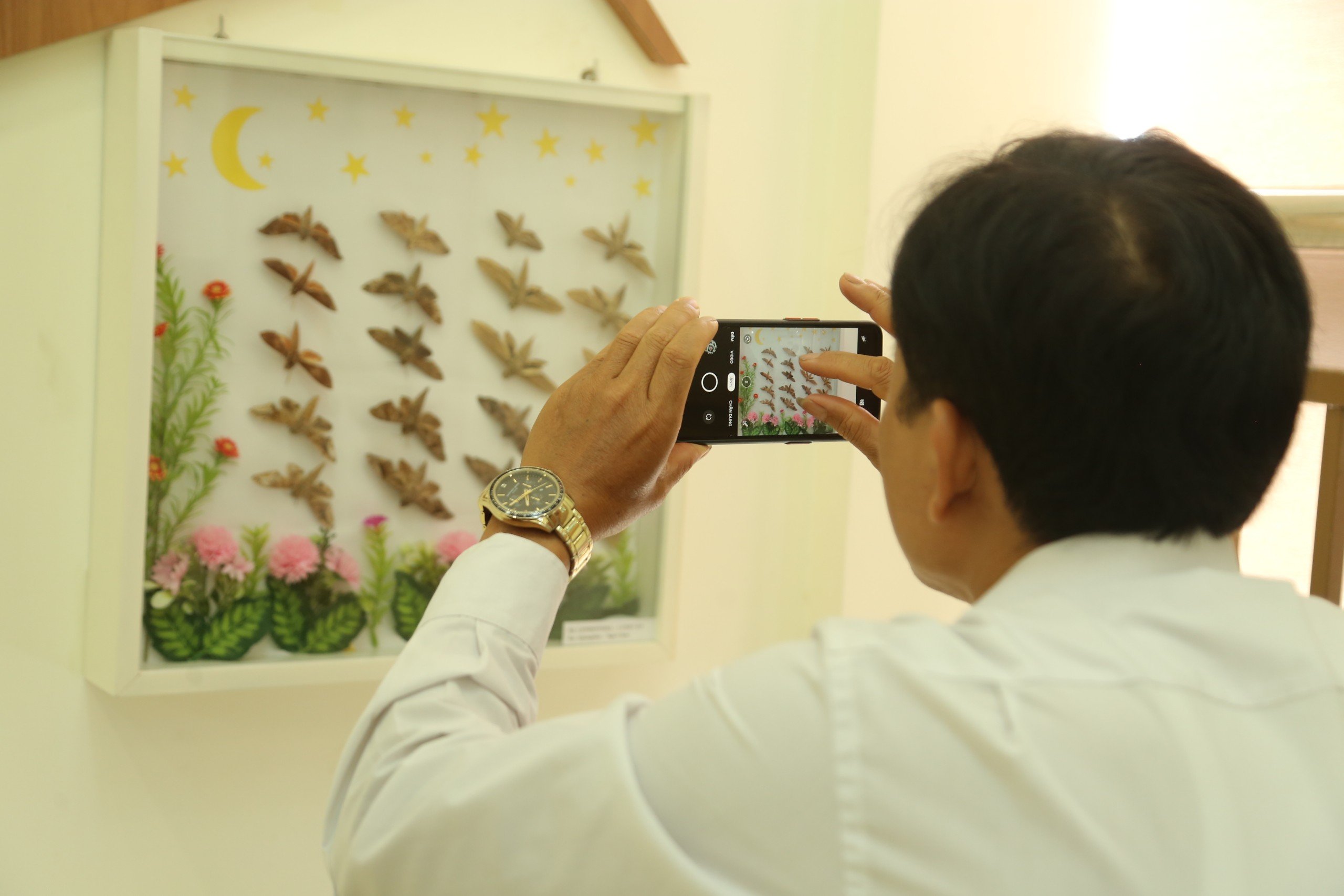 Thăm bảo tàng đa dạng sinh học cấp tỉnh đầu tiên trên cả nước tại Quảng Nam - 11