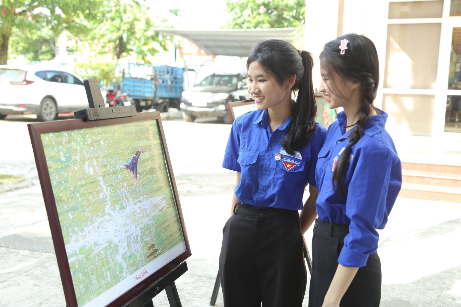 Thăm bảo tàng đa dạng sinh học cấp tỉnh đầu tiên trên cả nước tại Quảng Nam - 13