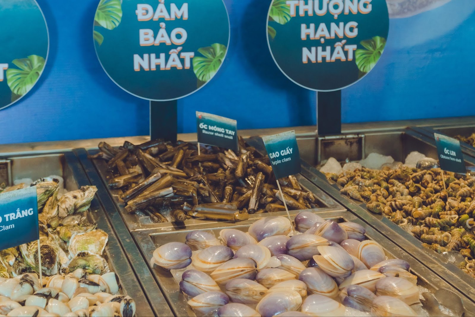 Chưa từng có: Hải Sản Phố ra mắt Menu mới ưu đãi ngay 70% - 4