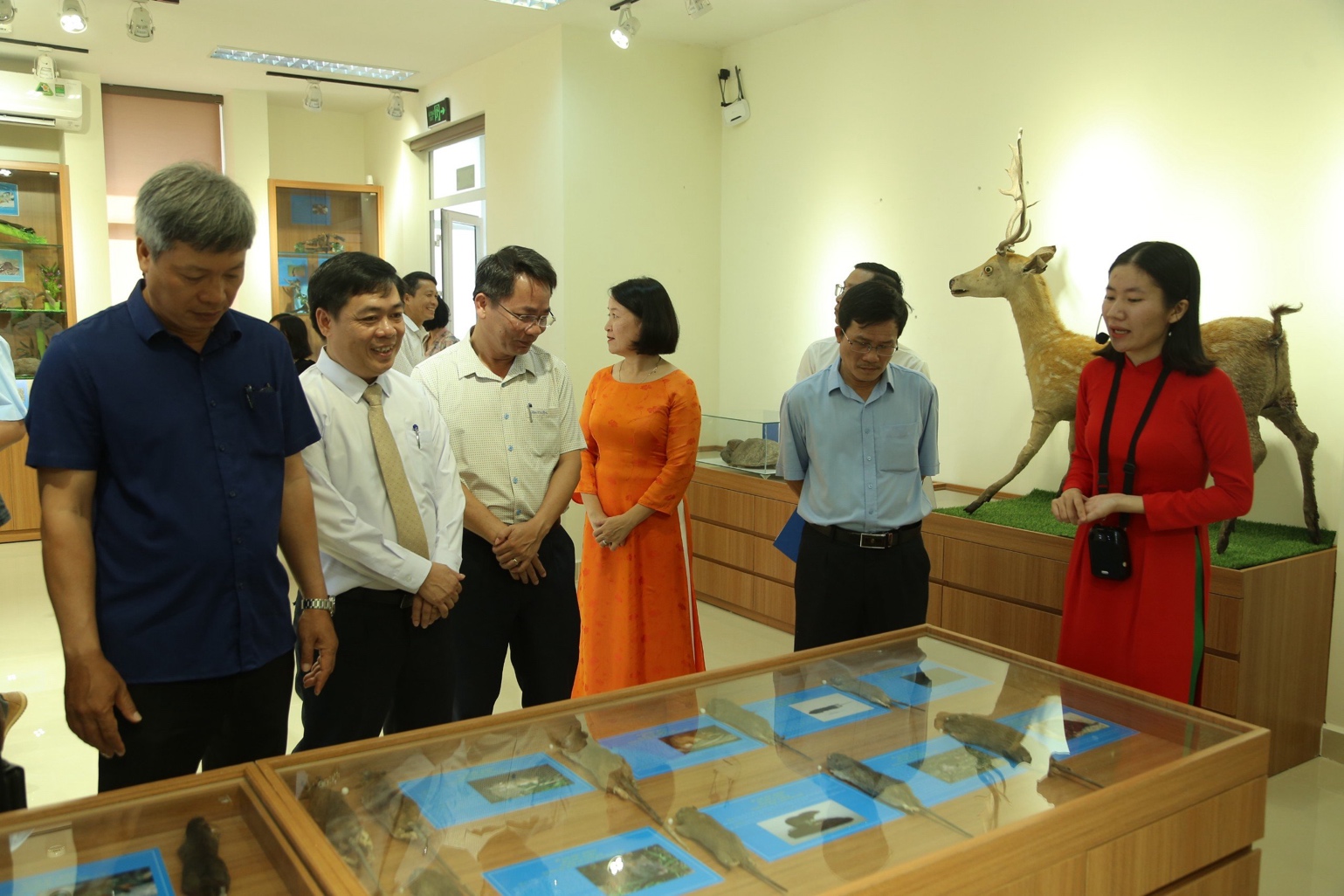 Thăm bảo tàng đa dạng sinh học cấp tỉnh đầu tiên trên cả nước tại Quảng Nam - 14