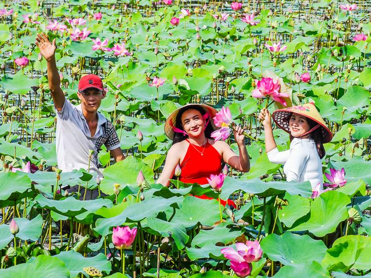 Mùa sen rực rỡ thu hút giới trẻ check-in ở Quảng Ngãi