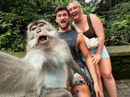  - Khỉ Bali gây sốt mạng với "kỹ năng selfie" điêu luyện