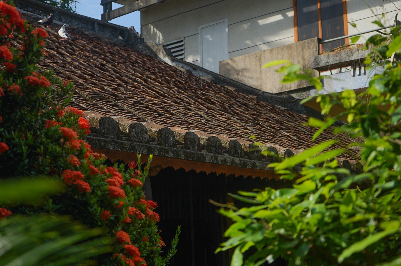 Về Đà Nẵng, thăm ngôi nhà cổ hơn 200 năm bên dòng Túy Loan - 4