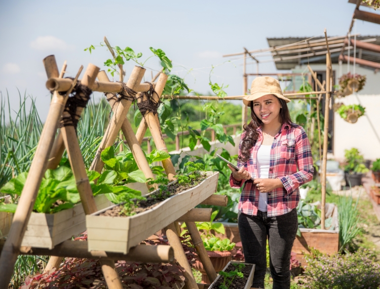 Du lịch nông nghiệp tại TP.HCM: Cần xây dựng một quần thể tích hợp nhiều giá trị