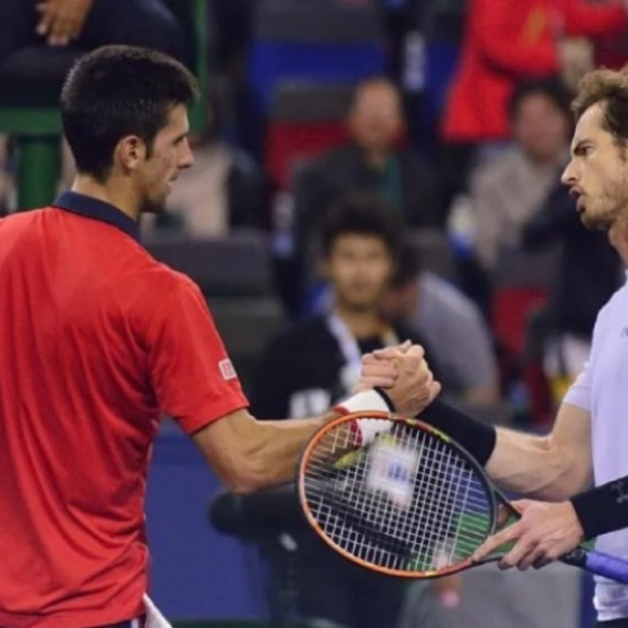  - Djokovic "hạ mình" chơi giải ATP 250, có thể đấu Murray ngay trận đầu