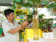 Ghé hội chợ OCOP TP.HCM ngắm bonsai dừa, nếm cá trắm kho riềng, nem cua bể