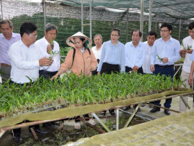  - TP.HCM tập trung đào tạo nông dân để nâng tầm sản phẩm OCOP