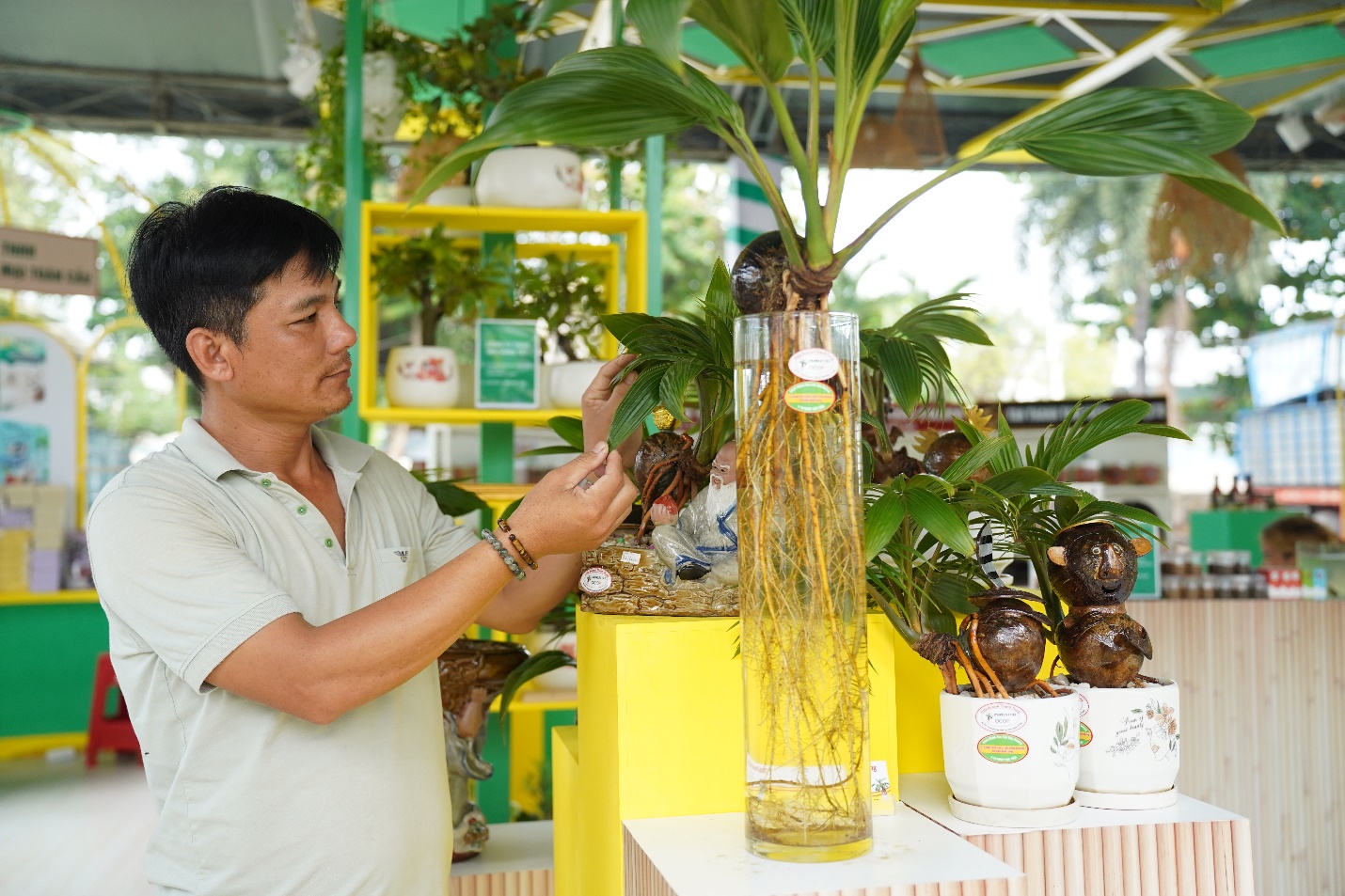 Ghé hội chợ OCOP TP.HCM ngắm bonsai dừa, nếm cá trắm kho riềng, nem cua bể - 5
