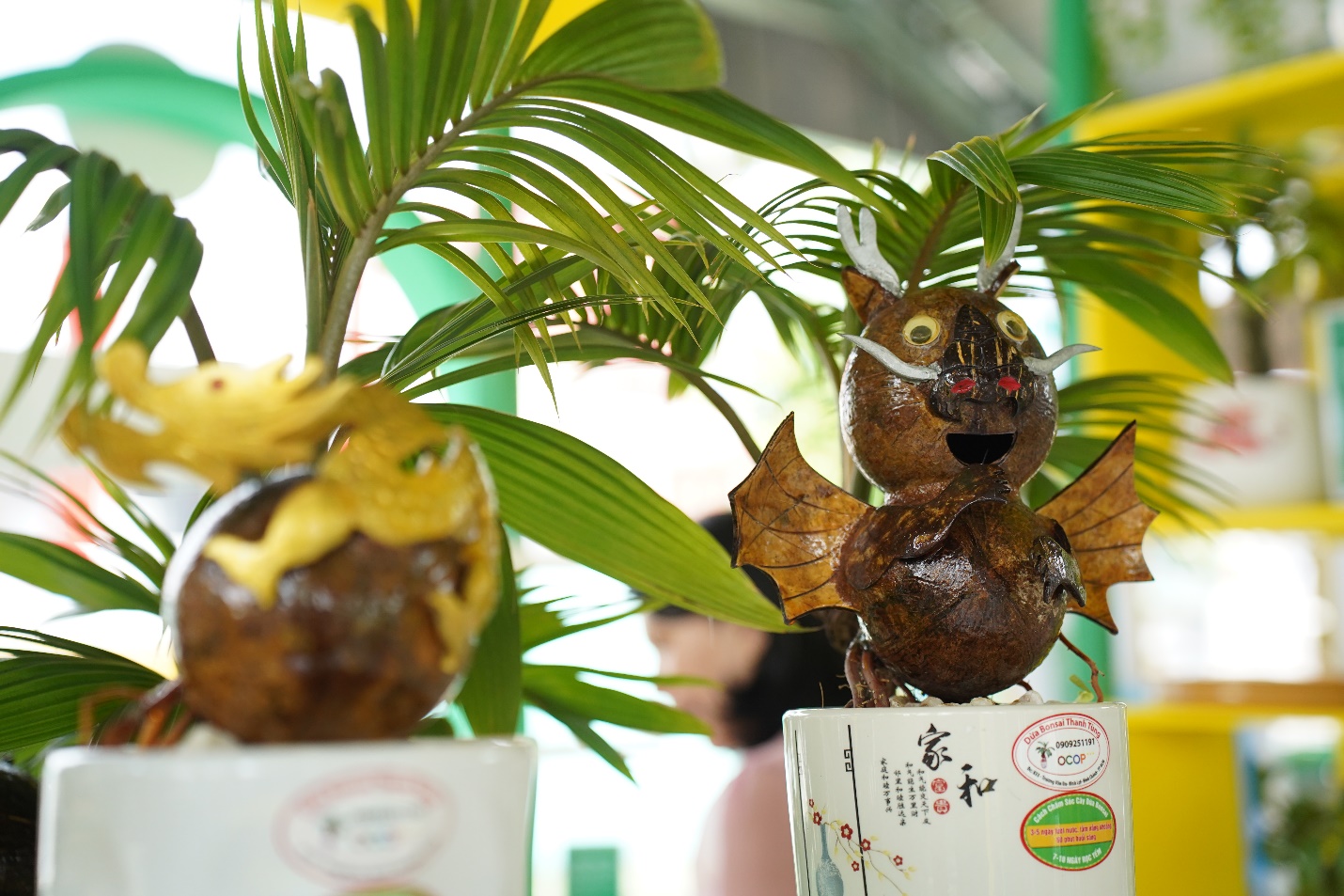 Ghé hội chợ OCOP TP.HCM ngắm bonsai dừa, nếm cá trắm kho riềng, nem cua bể - 7