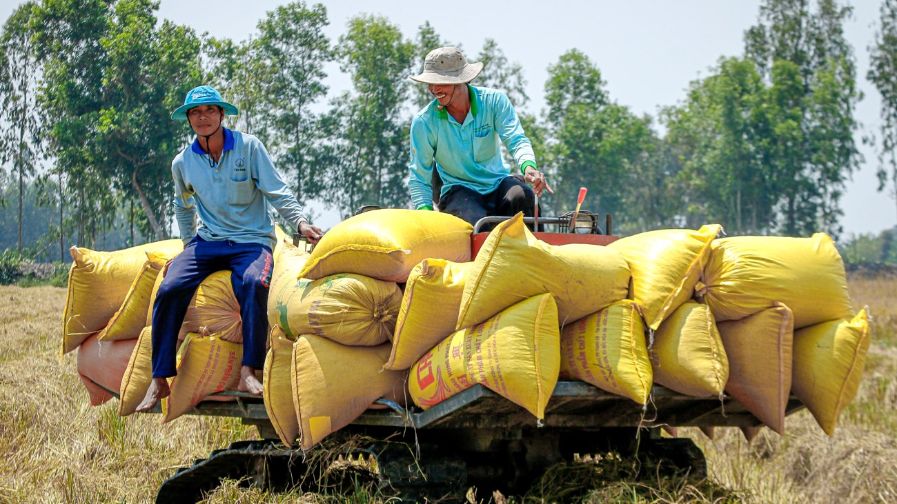 Hoàn tất thanh toán hơn 2.000 tỷ đồng nợ mua lúa, Chủ tịch Lộc Trời xin lỗi nông dân - 1