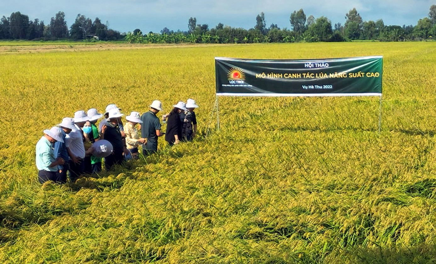 Hoàn tất thanh toán hơn 2.000 tỷ đồng nợ mua lúa, Chủ tịch Lộc Trời xin lỗi nông dân - 3
