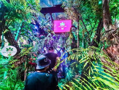 Lễ hội - Du khách thích thú trải nghiệm khu rừng sâm Ngọc Linh giữa lòng thành phố