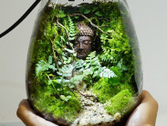 Chàng trai trồng cây xanh trong bình kính, kiếm hơn 100 triệu đồng/tháng