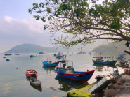 Du khảo - Những làng chài ở Bình Định &quot;đẹp như tranh vẽ&quot; cho bạn trải nghiệm cuộc sống bình yên
