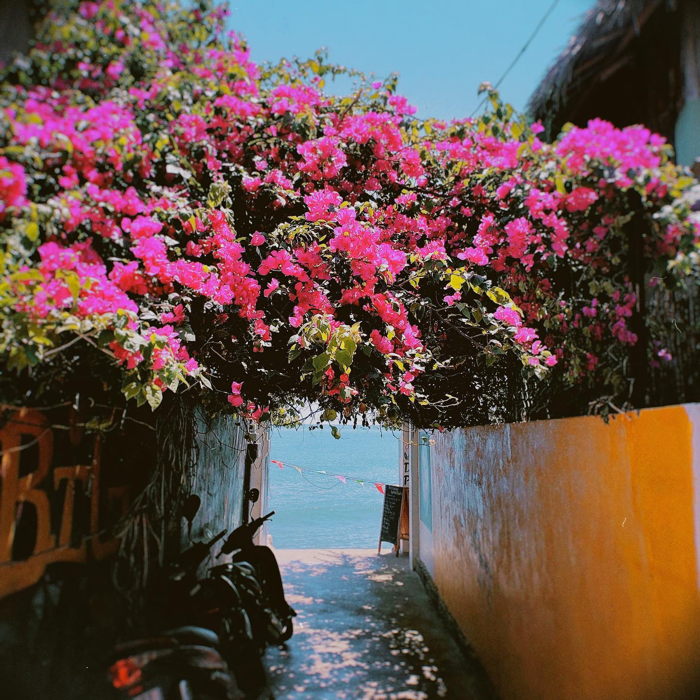 Những làng chài ở Bình Định "đẹp như tranh vẽ" cho bạn trải nghiệm cuộc sống bình yên - 4