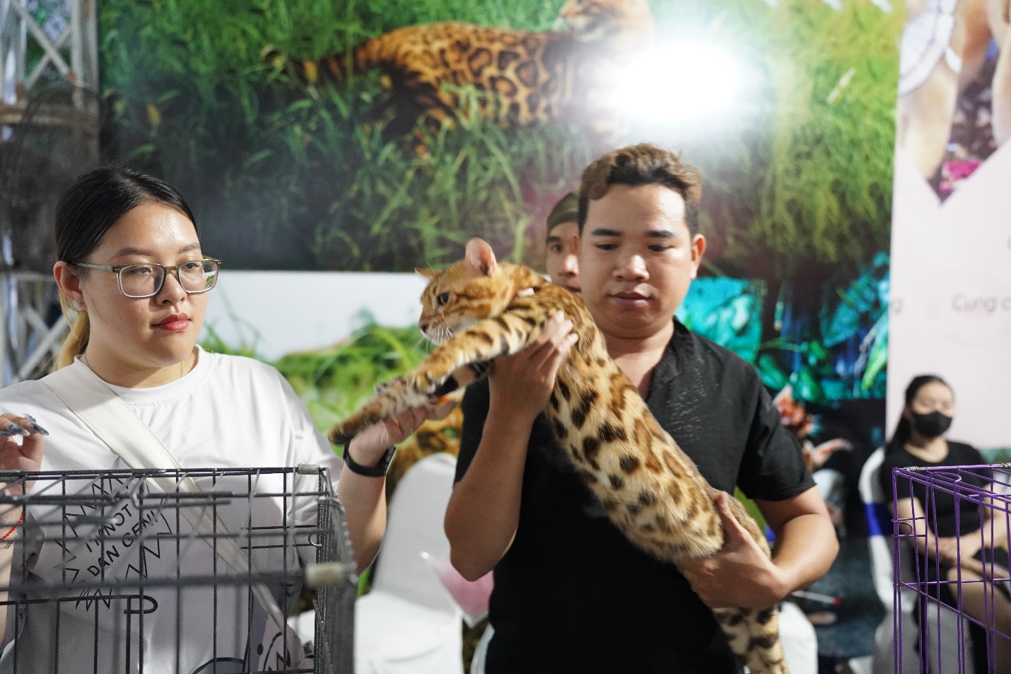 Cuối tuần đi xem trăn ‘khổng lồ’, mèo lông vàng giá hơn trăm triệu đồng - 15