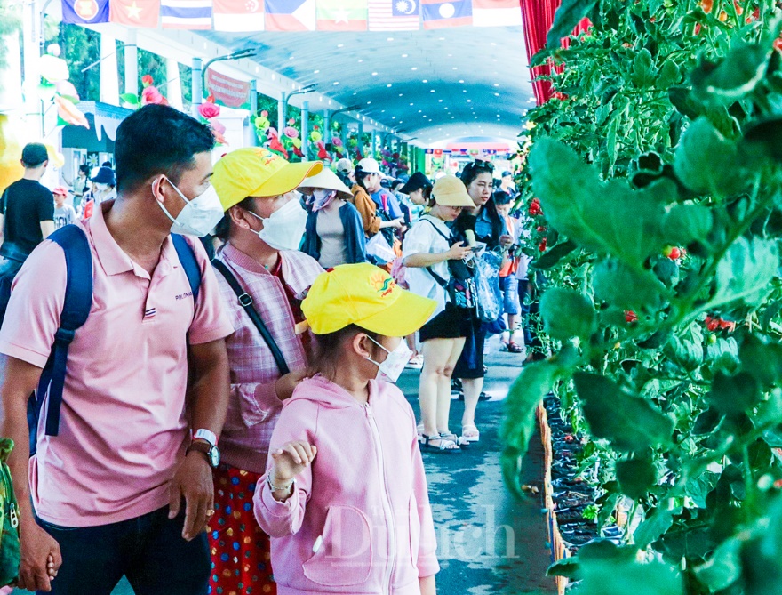 Nhộn nhịp chợ đặc sản Lễ hội trái cây Nam bộ trong ngày đầu khai mạc - 14