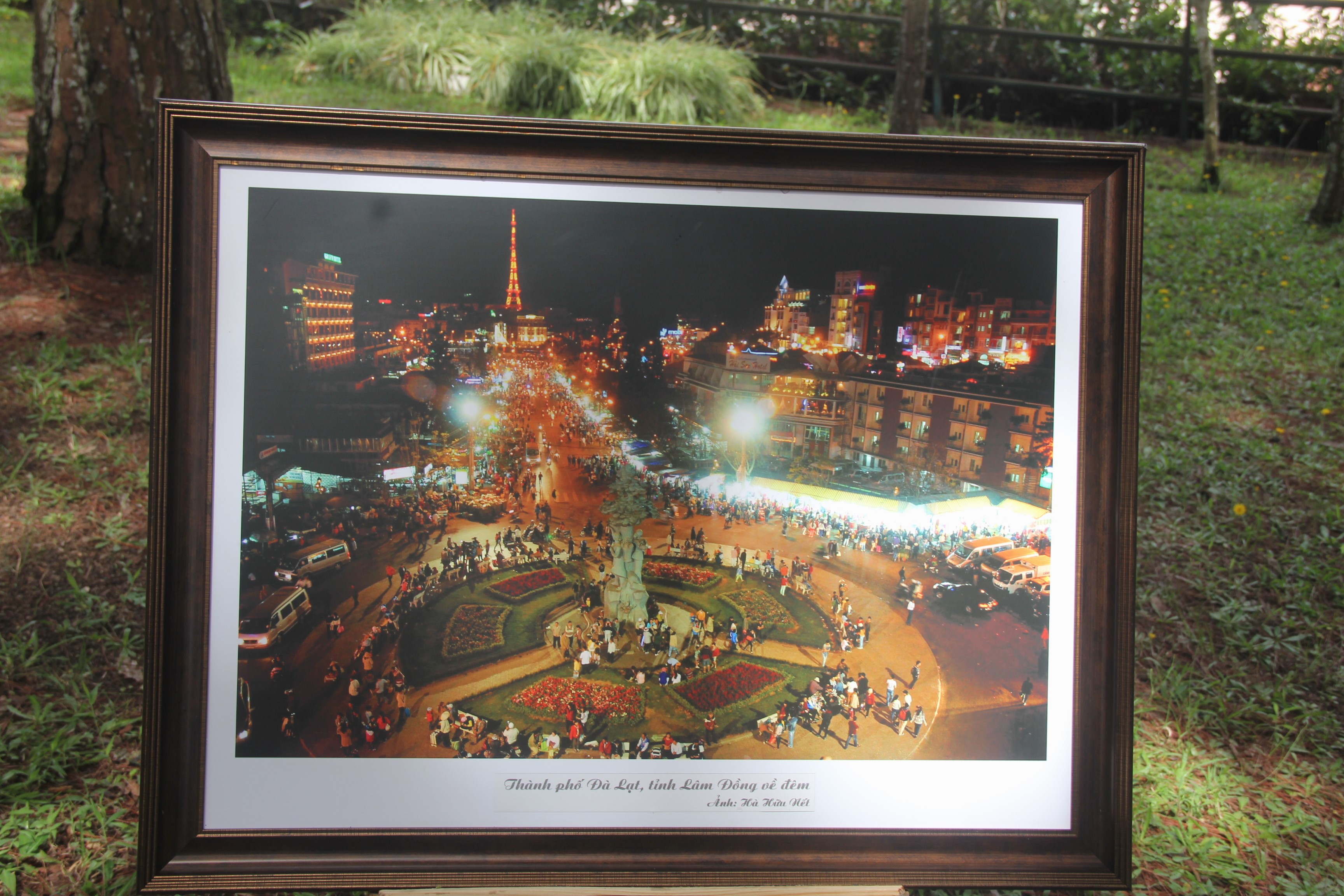 Du khách thích thú với triển lãm ảnh “Cao nguyên xanh” tại Đà Lạt - 2