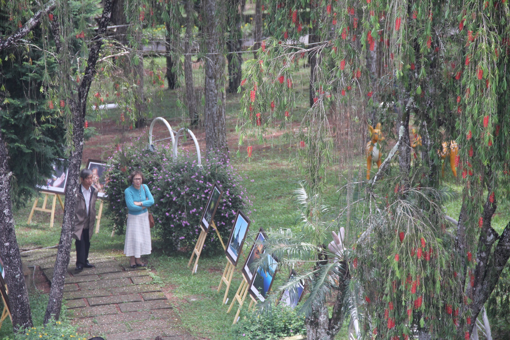 Du khách thích thú với triển lãm ảnh “Cao nguyên xanh” tại Đà Lạt - 7