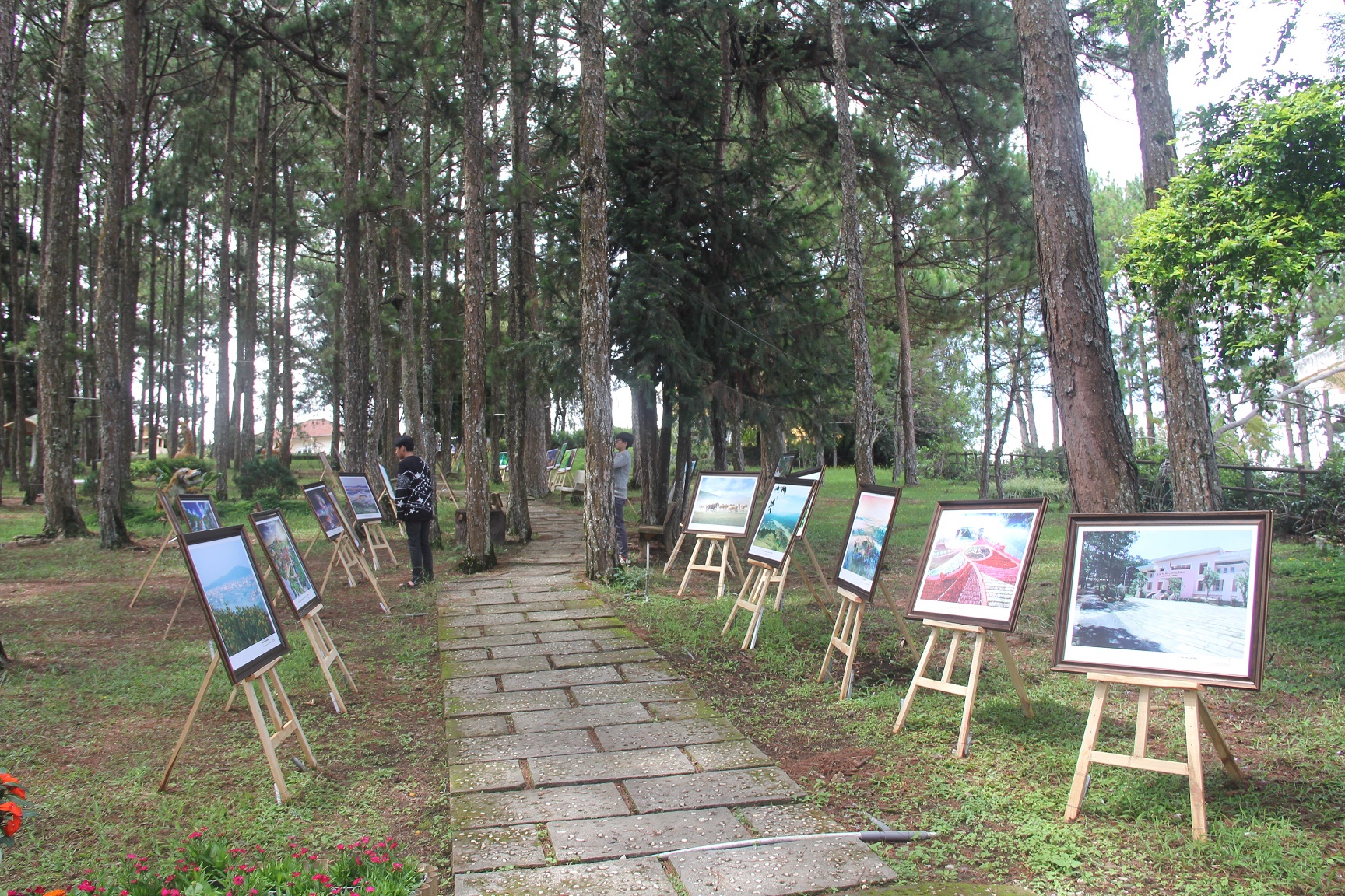 Du khách thích thú với triển lãm ảnh “Cao nguyên xanh” tại Đà Lạt - 8