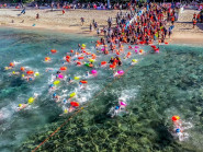 Bơi qua rạn san hô, trầm tích núi lửa hàng triệu năm ở Lý Sơn