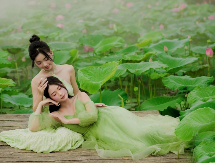 Sen Hà Nội đầu mùa nở rộ hút khách