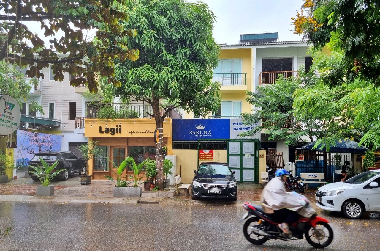 Rưng rưng những cơn mưa đầu mùa hạ - 2