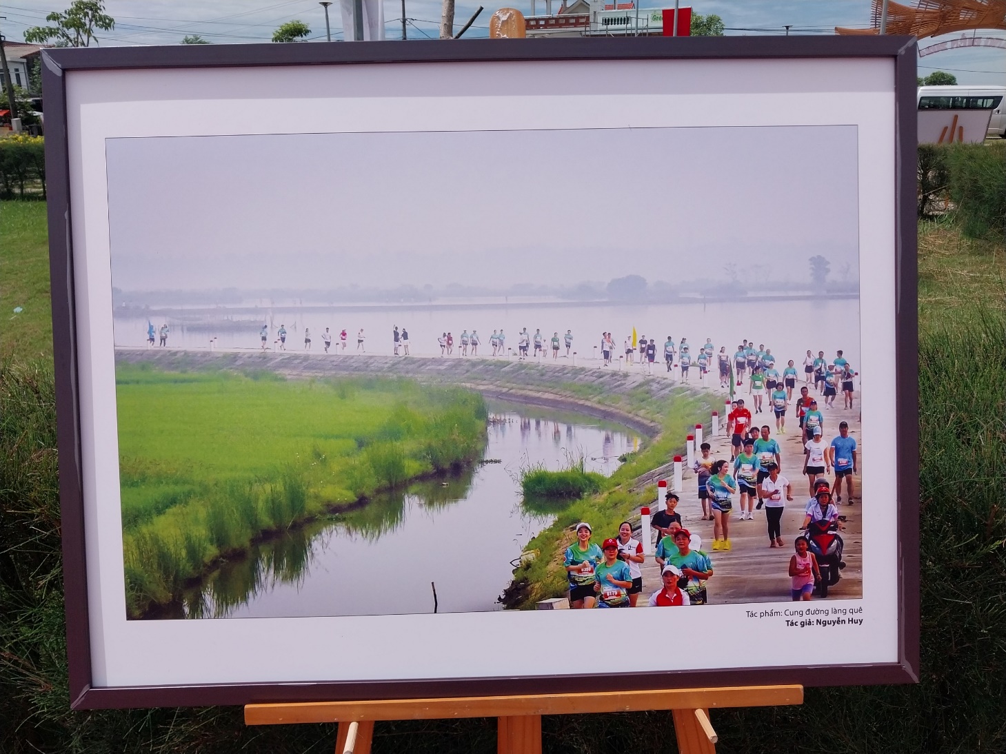 Chiêm ngưỡng nét đẹp vùng quê sông nước Quảng Điền qua những tấm ảnh - 7