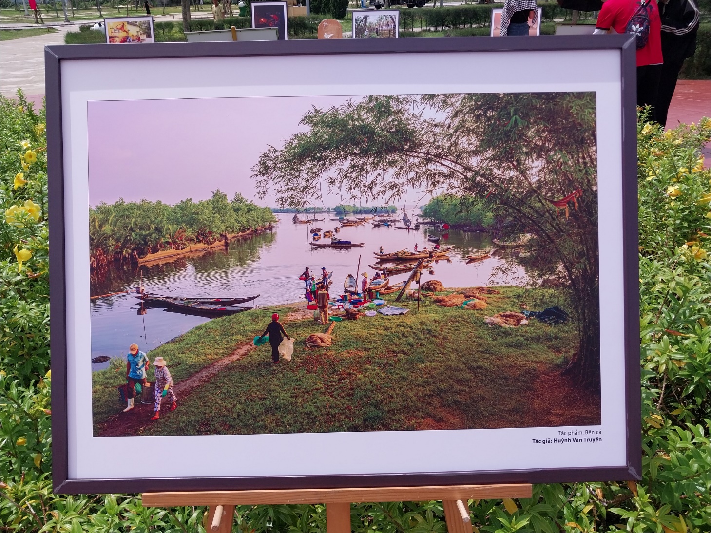 Chiêm ngưỡng nét đẹp vùng quê sông nước Quảng Điền qua những tấm ảnh - 12