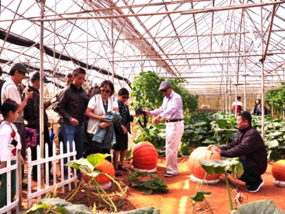 Chuyển động - Lâm Đồng: Thẩm định dự án Nông nghiệp công nghệ cao kết hợp du lịch