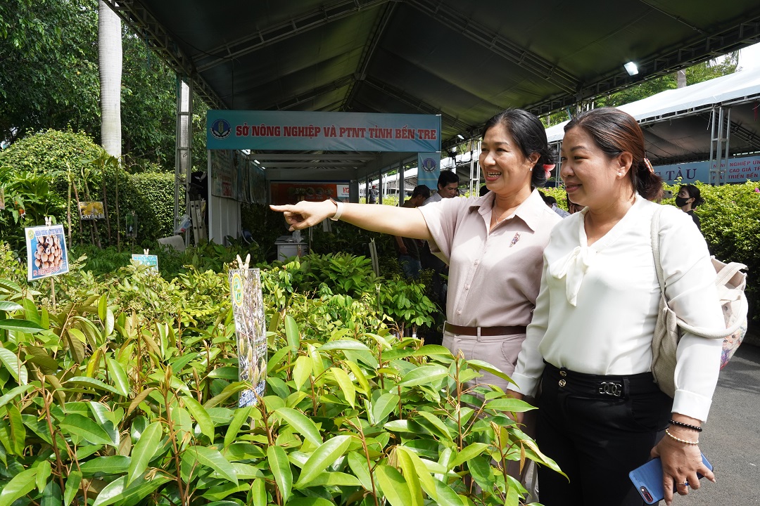 den cong vien o tp.hcm mua nhieu cay giong an qua ‘doc la’, gia re - 1