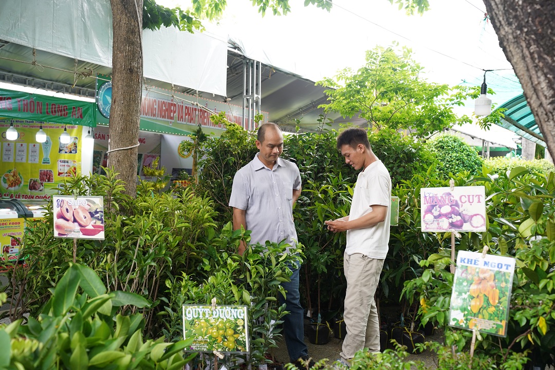 den cong vien o tp.hcm mua nhieu cay giong an qua ‘doc la’, gia re - 6