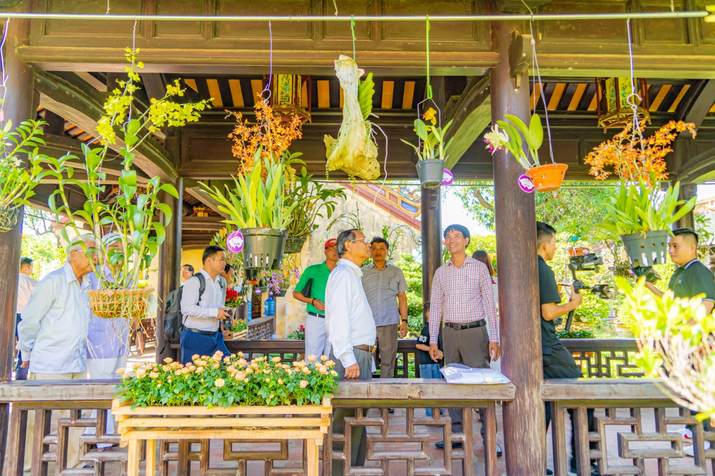 Vào Hoàng cung chiêm ngưỡng kỳ hoa dị thảo - 3