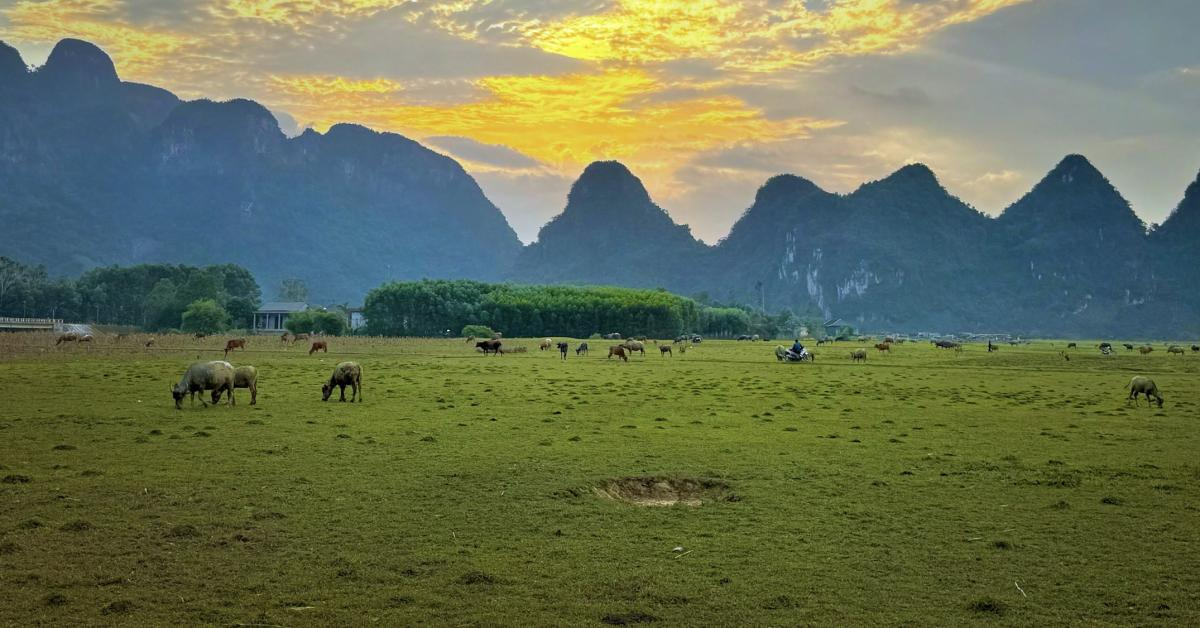 Mùa đẹp nhất ở Quảng Bình