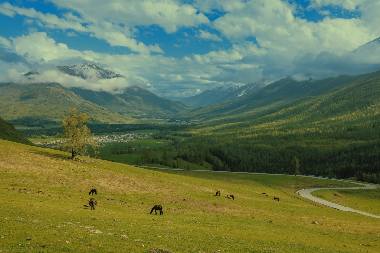 kham pha 'mat ngoc' cua vung nui altai - 12