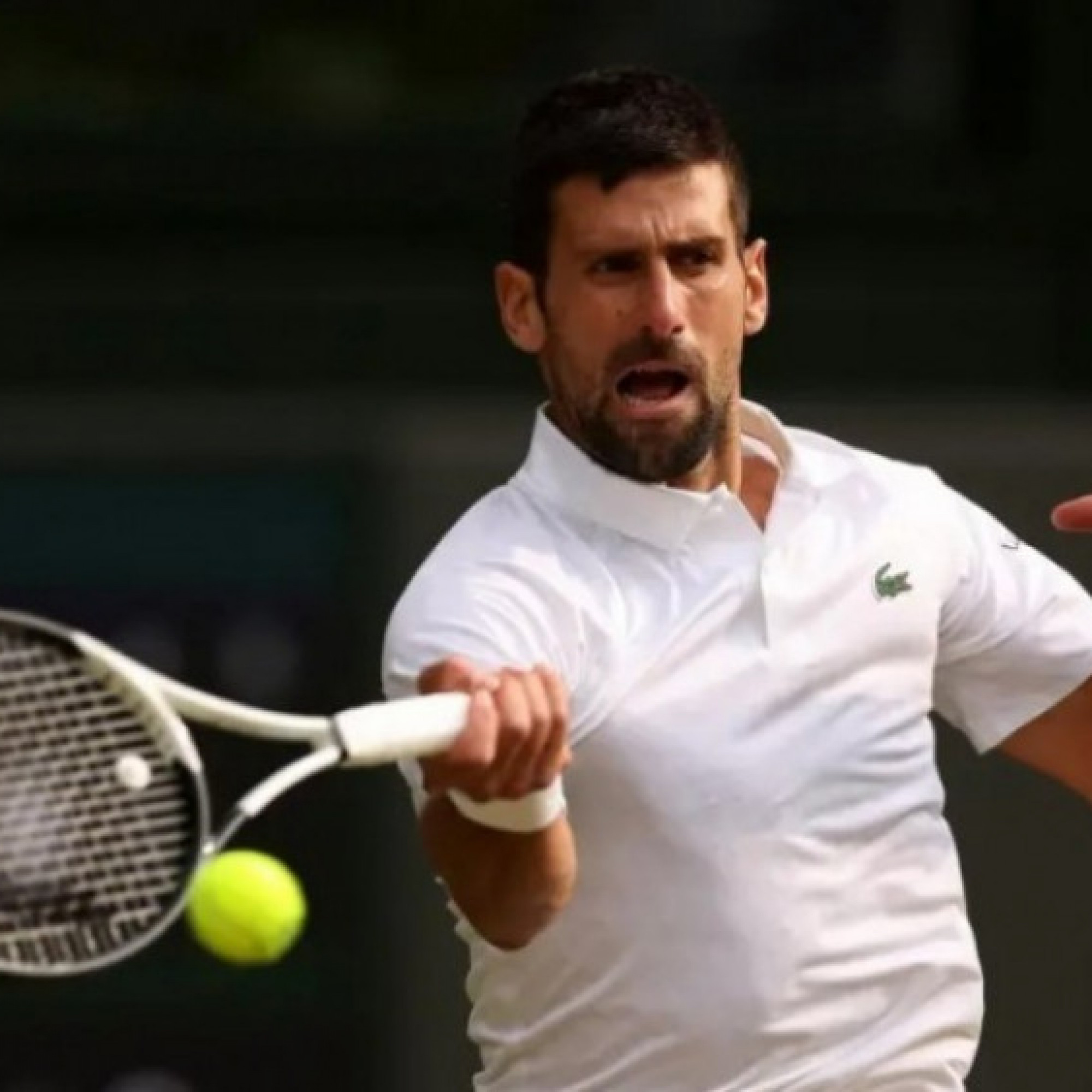  - Djokovic gần như chắc chắn dự Wimbledon, tham vọng Olympic còn lớn hơn