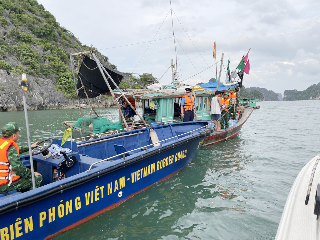 Tàu cá, đò chở 'chui' du khách đi Vịnh Hạ Long - 1