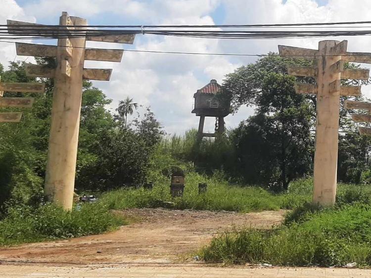 Lâm Đồng thu hồi đất dự án khu thưởng lãm của Công ty cà phê Trung Nguyên