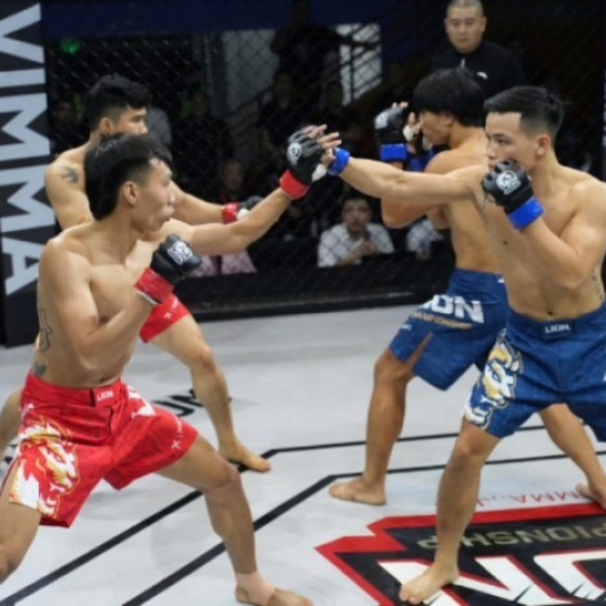 Thể thao - Độc lạ MMA Việt Nam: Đầu bếp Đình Khải hạ &quot;Đại bàng&quot; Ireland, kèo 2 đấu 2 chóng mặt