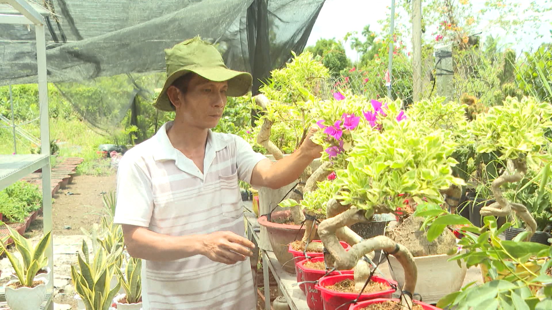 Từ giảng đường về quê làm vườn: Hành trình nghị lực của người đàn ông liệt một chân - 1