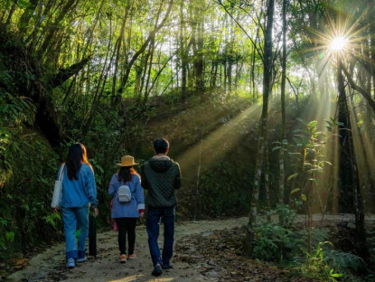  - Đến Vườn quốc gia Bạch Mã, du khách không được mang thức ăn vào các điểm tham quan