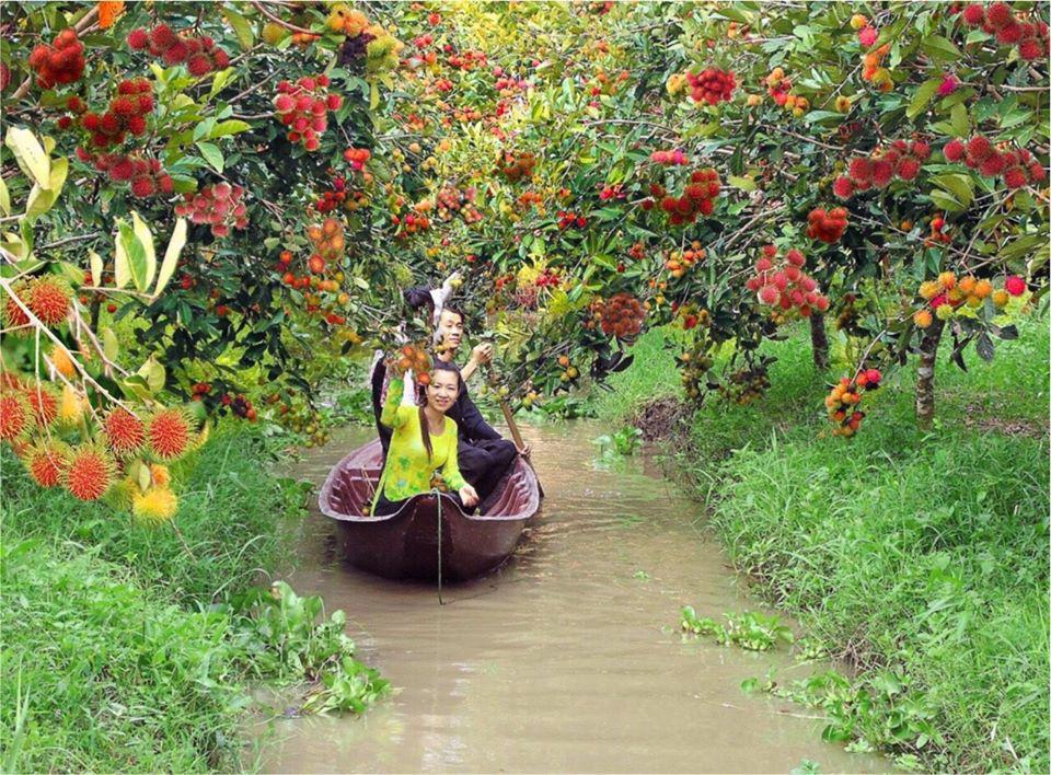 3 tỉnh miền Tây sáp nhập, trở thành điểm đến sông nước lý tưởng - 9