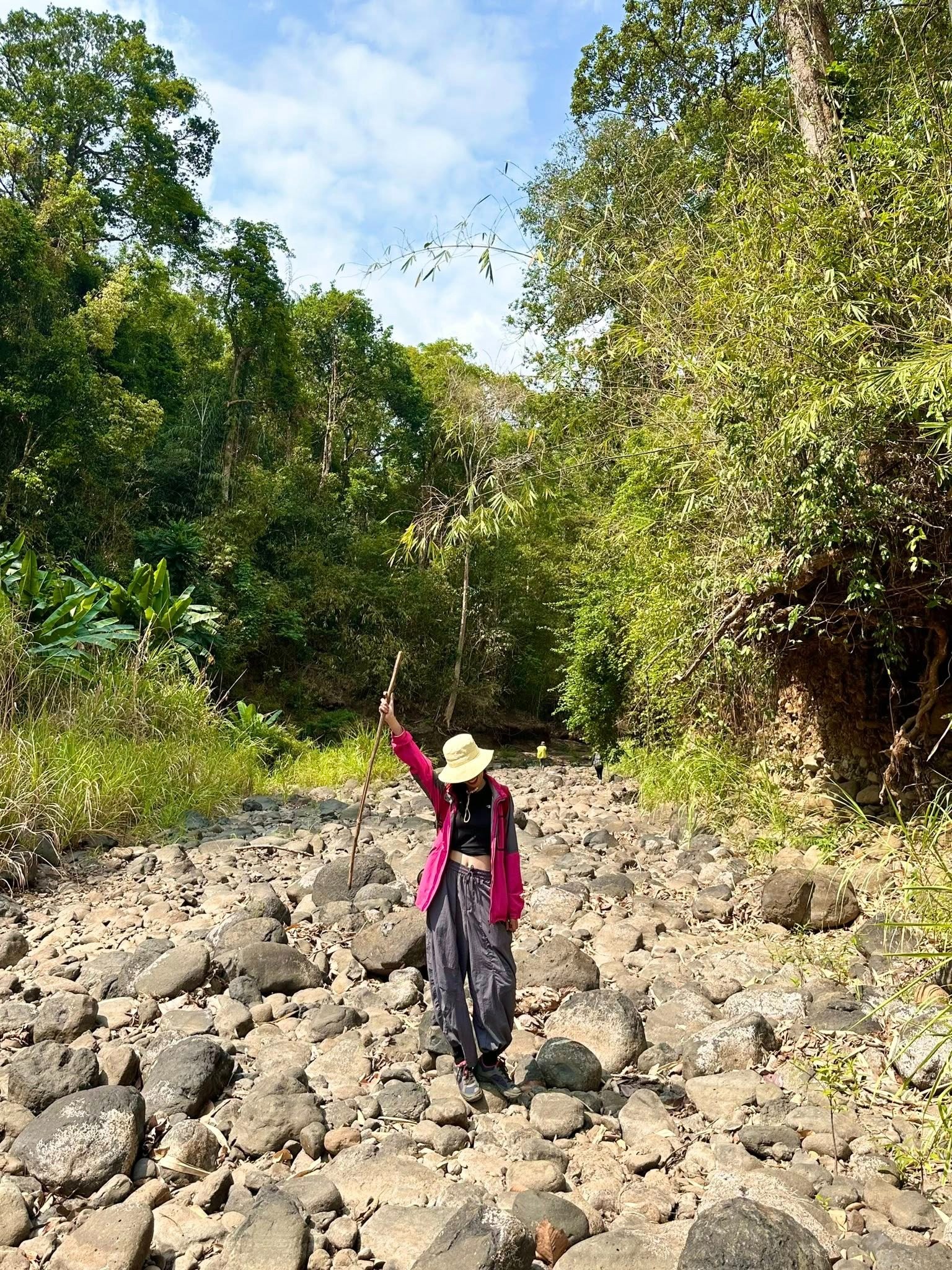 Trekking VQG Bù Gia Mập, chạm tới vẻ đẹp nguyên sơ của rừng già - 7