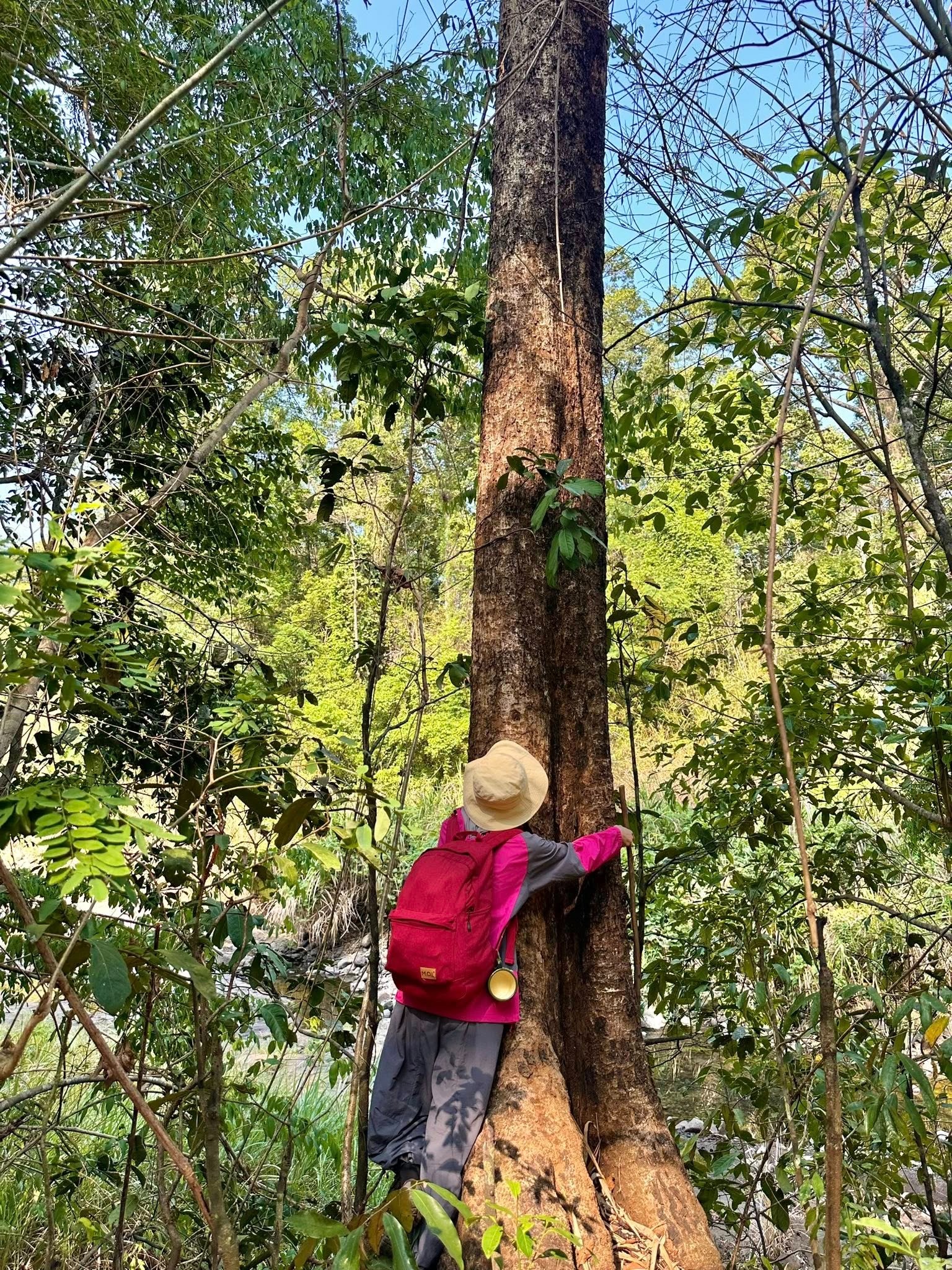 Trekking VQG Bù Gia Mập, chạm tới vẻ đẹp nguyên sơ của rừng già - 4