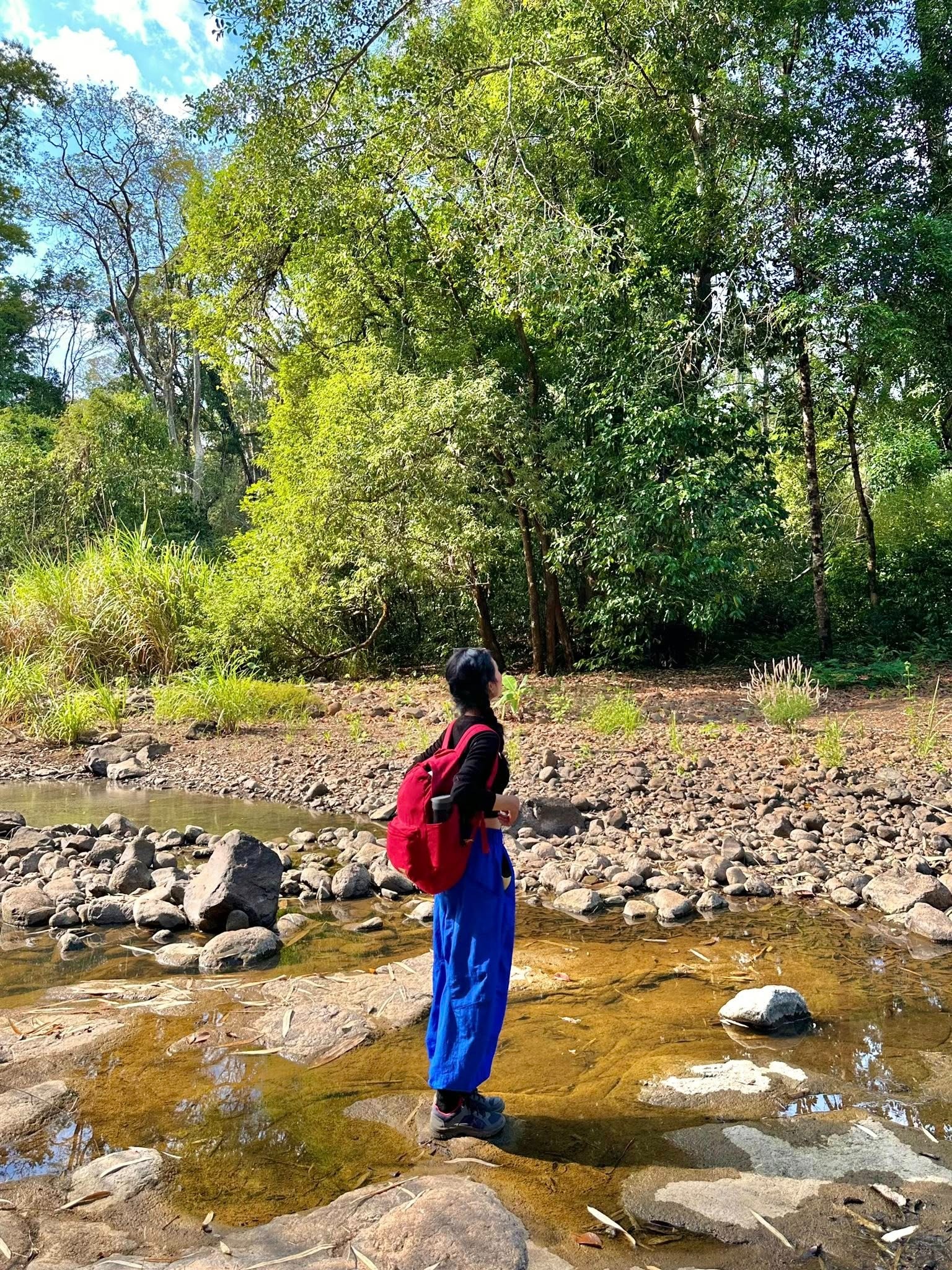 Trekking VQG Bù Gia Mập, chạm tới vẻ đẹp nguyên sơ của rừng già - 8