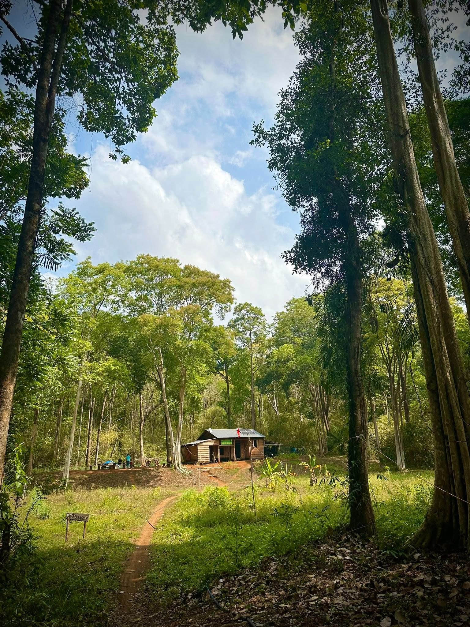 Trekking VQG Bù Gia Mập, chạm tới vẻ đẹp nguyên sơ của rừng già - 9