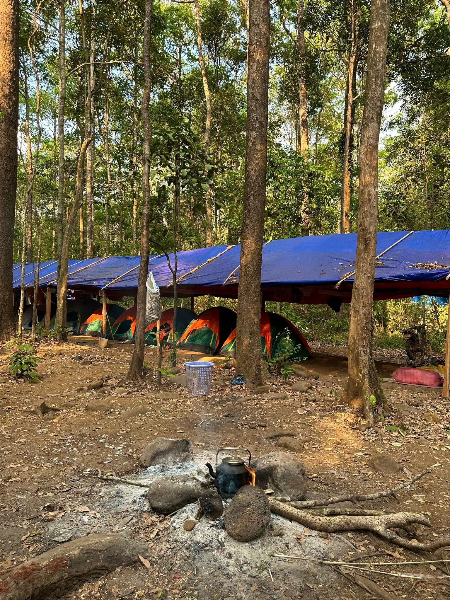Trekking VQG Bù Gia Mập, chạm tới vẻ đẹp nguyên sơ của rừng già - 10