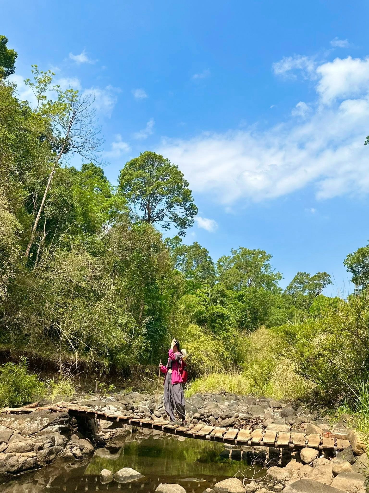 Trekking VQG Bù Gia Mập, chạm tới vẻ đẹp nguyên sơ của rừng già - 1